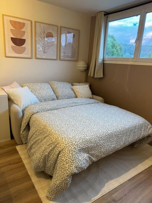 Studio Cosy Au Coeur Du Haut-Jura Foncine-le-Bas Exteriér fotografie