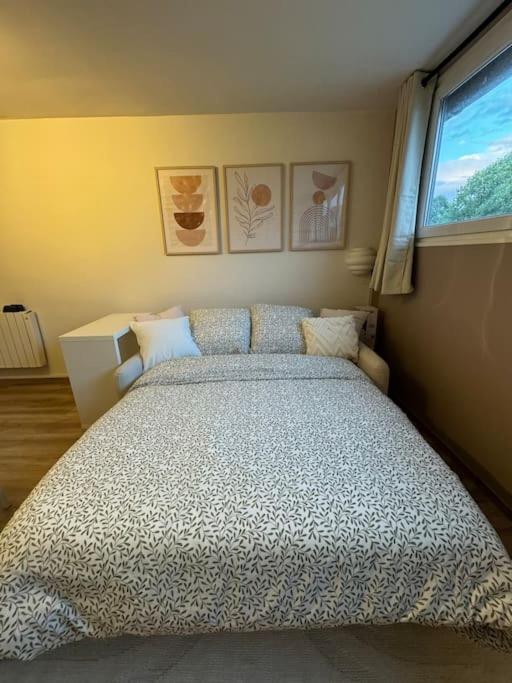 Studio Cosy Au Coeur Du Haut-Jura Foncine-le-Bas Exteriér fotografie