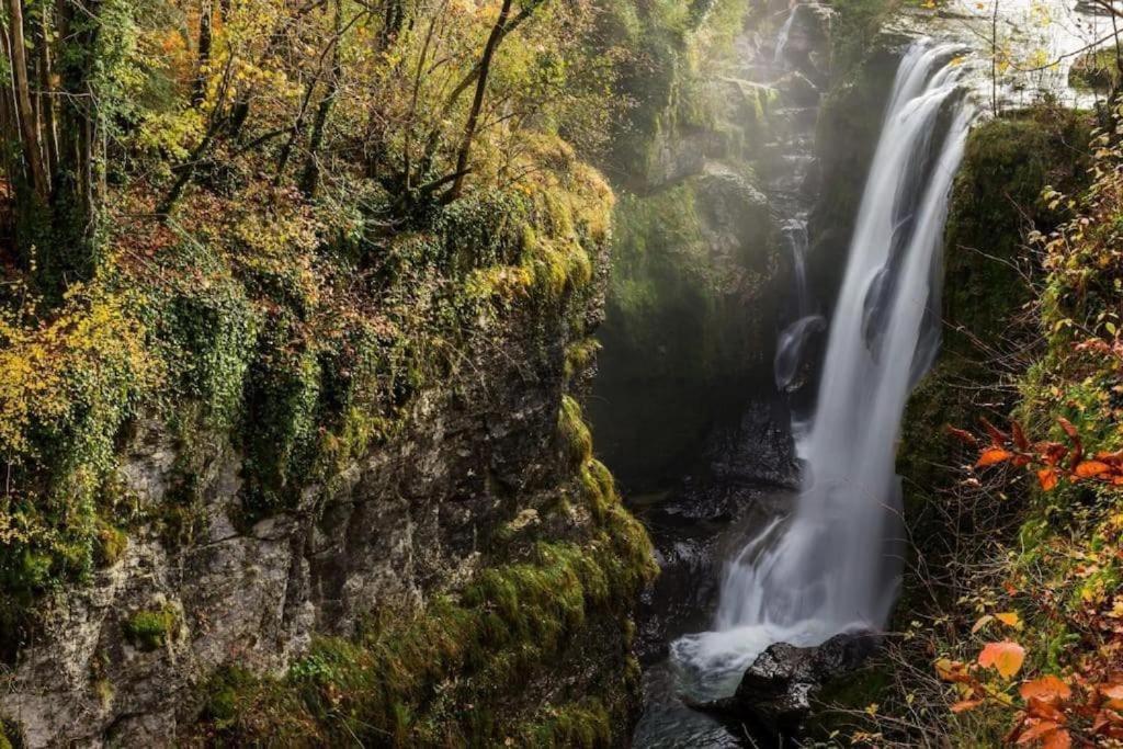 Studio Cosy Au Coeur Du Haut-Jura Foncine-le-Bas Exteriér fotografie